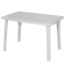 Τραπέζι ορθογώνιο (70x1,10)